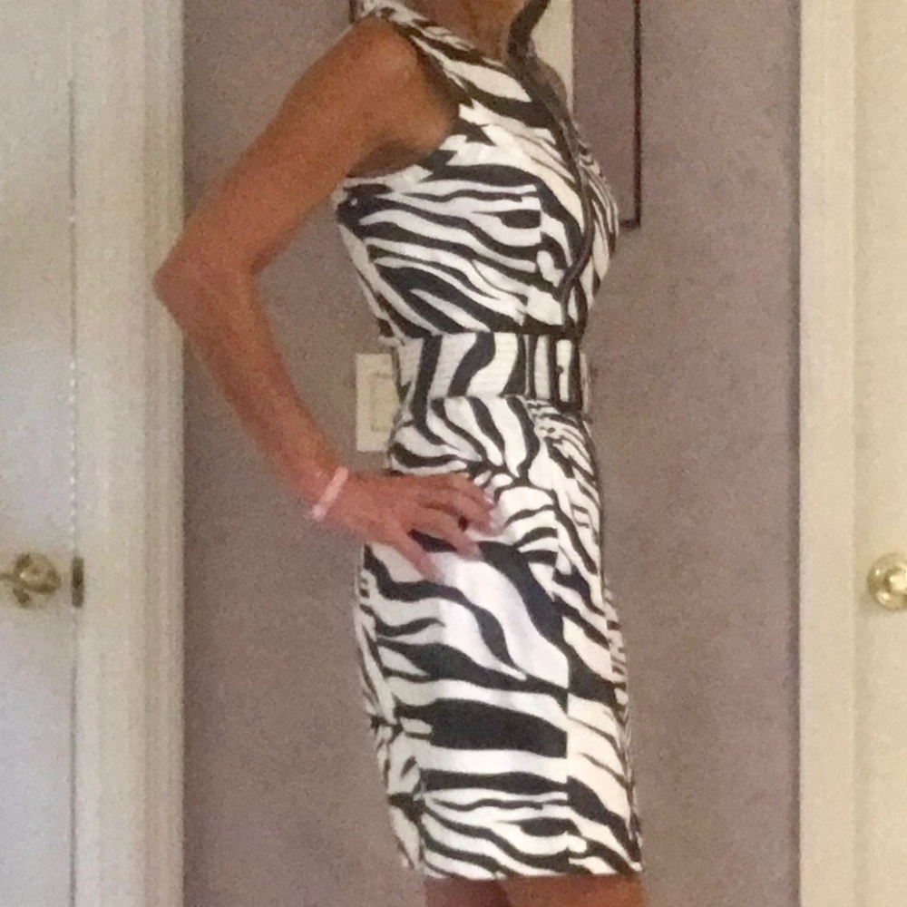 Cache' Zebra Dress